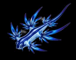 Blue Dragon